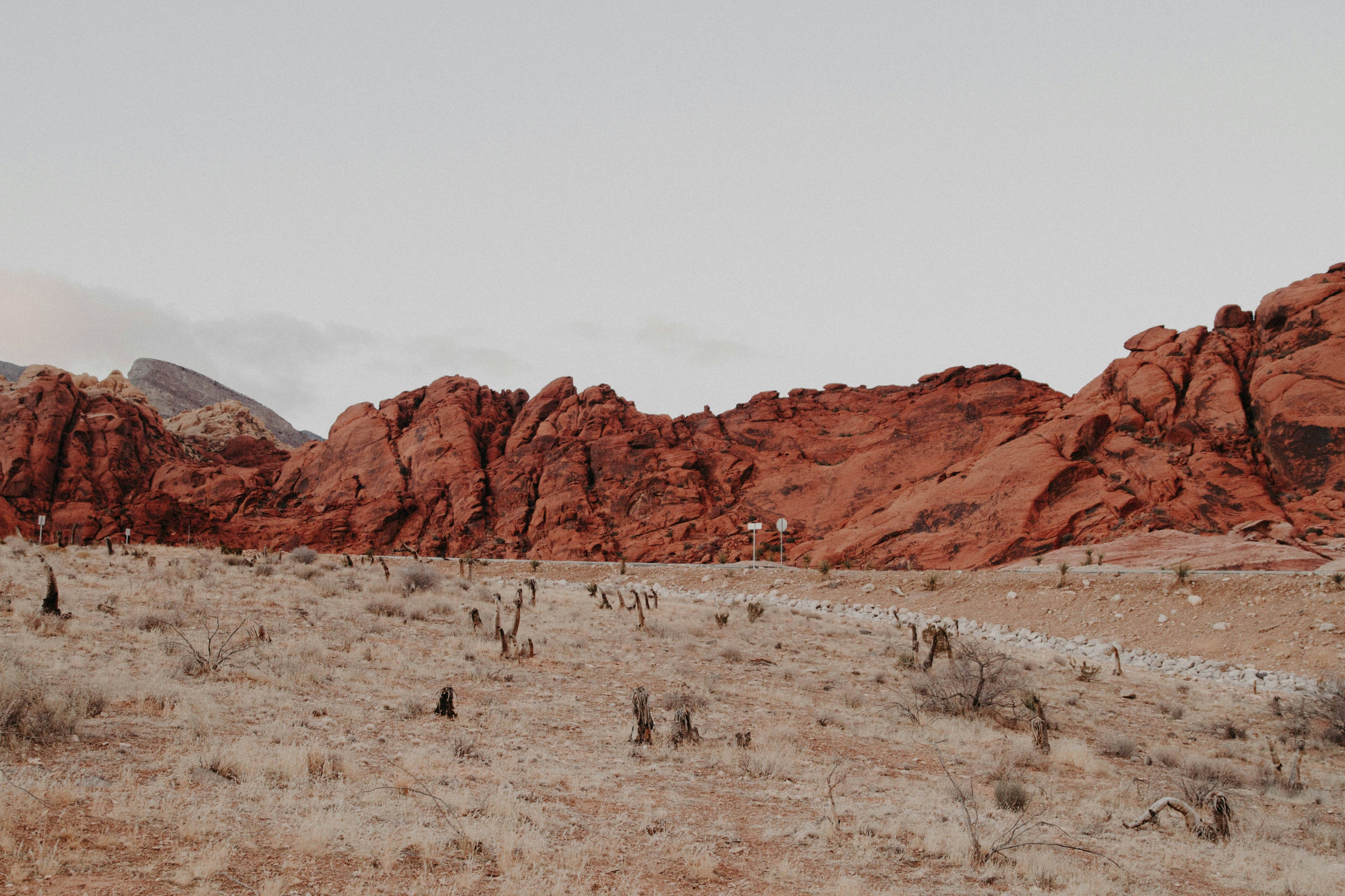 Red rock formations rise against a pale sky in a desert landscape. The foreground features dry grass and sparse vegetation. A rocky path curves through the scene, emphasizing the rugged, natural environment.