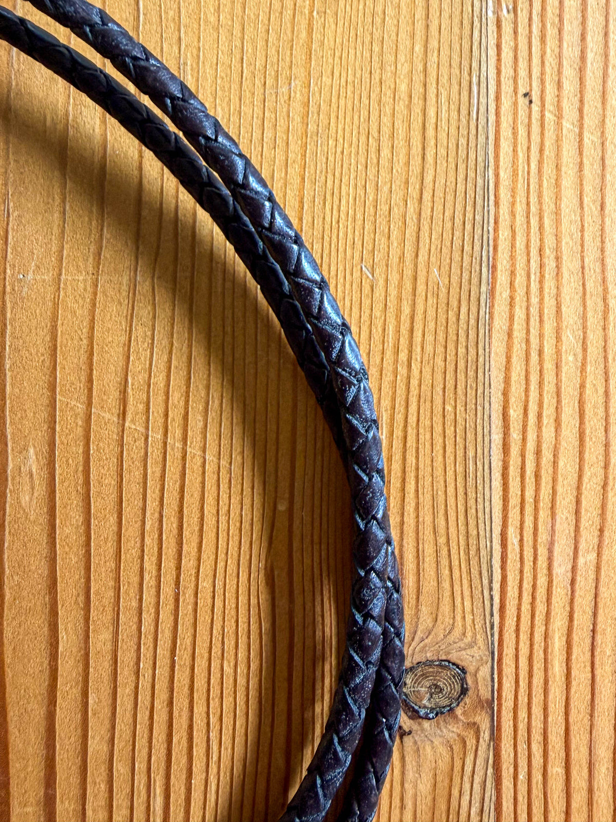 Gold Bull Bolo Tie