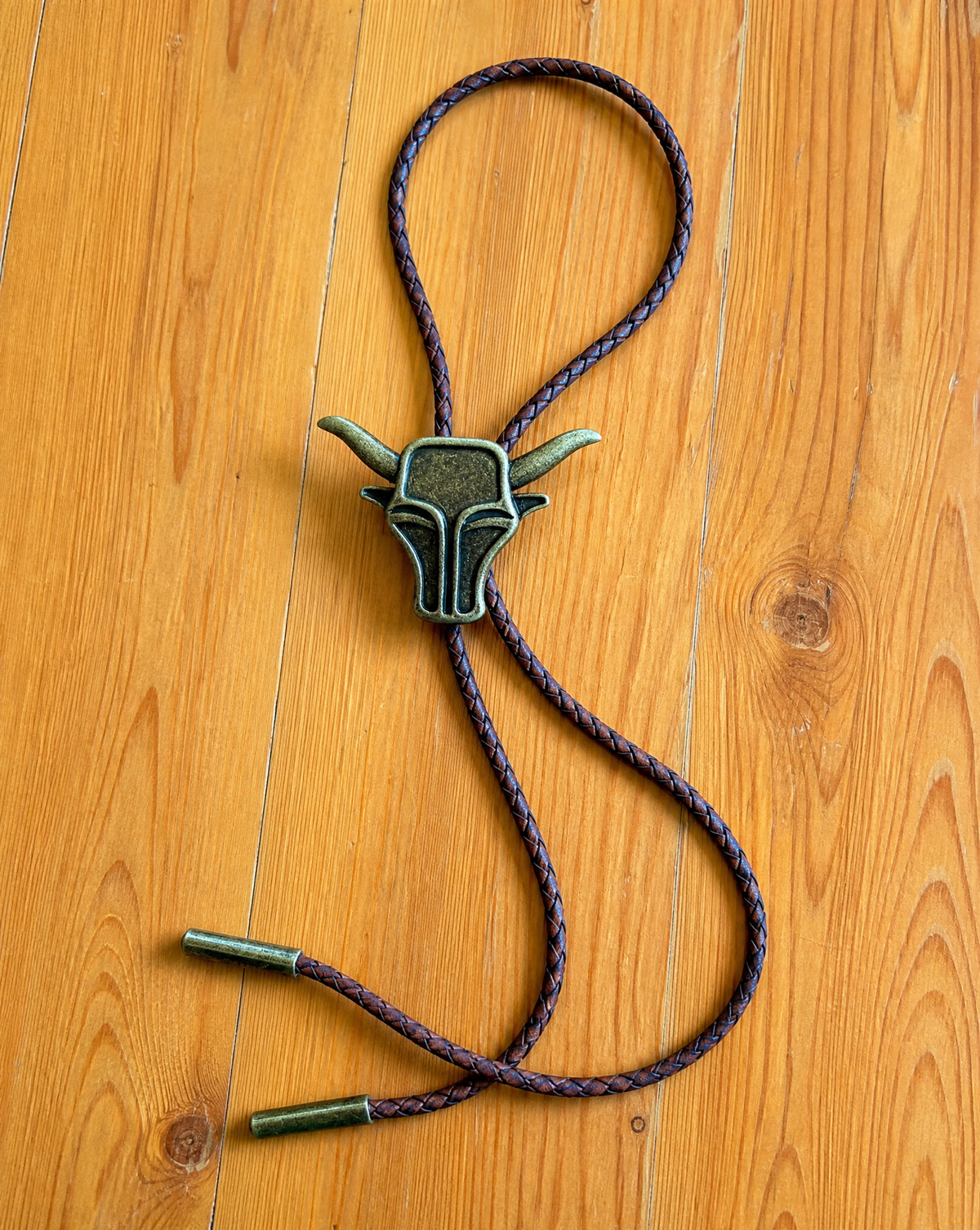 Brass Bull Bolo Tie