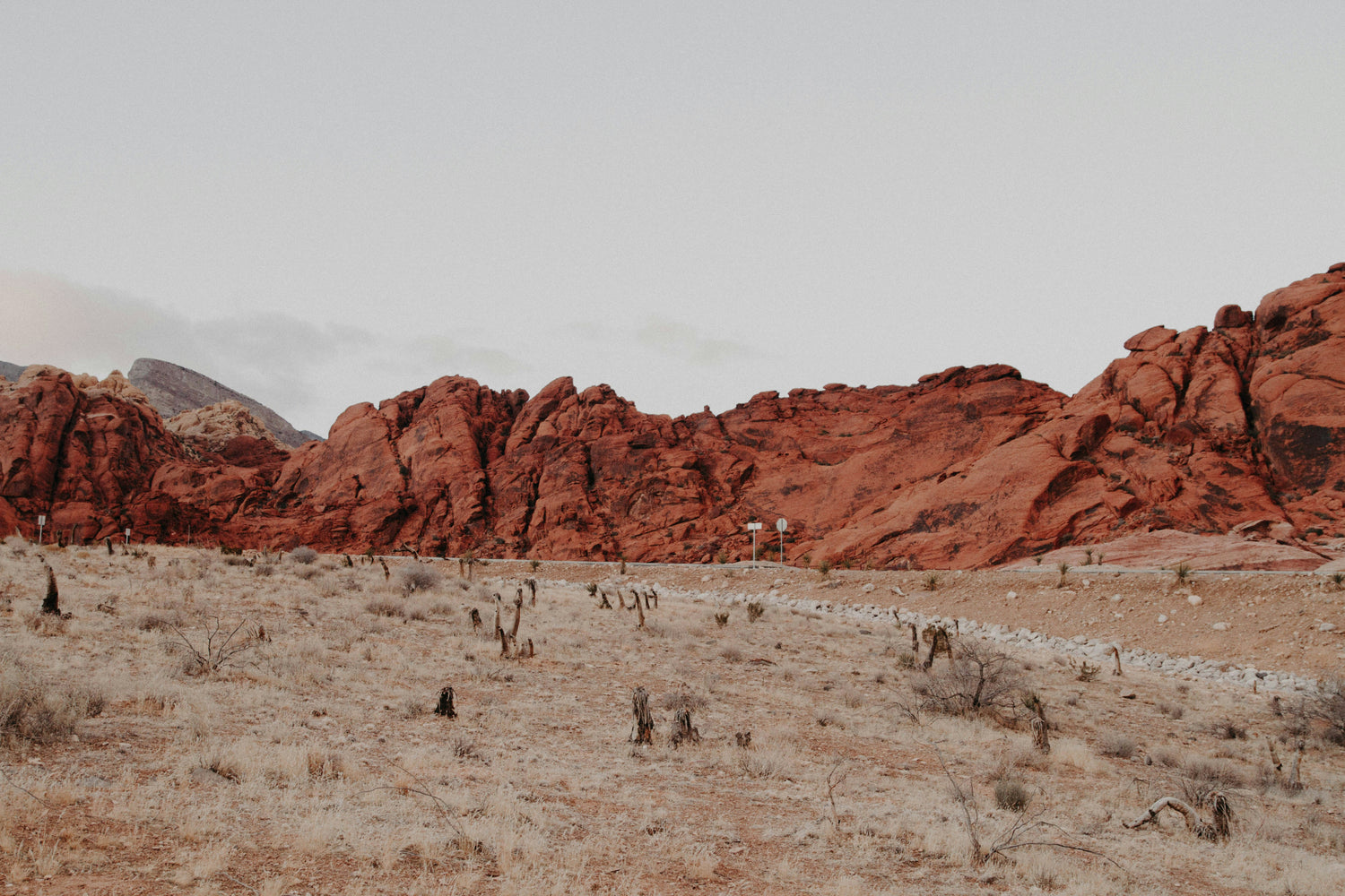 Red rock formations rise against a pale sky in a desert landscape. The foreground features dry grass and sparse vegetation. A rocky path curves through the scene, emphasizing the rugged, natural environment.